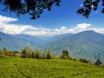 Priya Entertainments and Sikkim government collaborate to develop tea-tourism in Temi