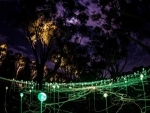 Avenue of Honour: Art installation attracts thousands in Western Australia