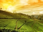 JetEscapes Holidays offers new holiday packages to Meghalaya
