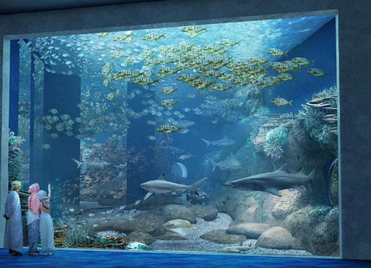 Middle Eastâ€™s largest aquarium now in Oman