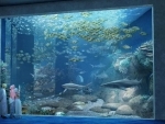 Middle Eastâ€™s largest aquarium now in Oman