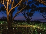 UK artist Bruce Munro's art installation attracts 29,453 people in western Australia