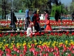 Jammu and Kashmir: 6-day long Tulip Festival enlivens Srinagar