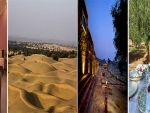 Thar Unplugged: India's first desert botanical resort near Jodhpur beckons tourists
