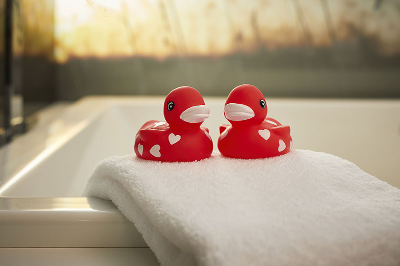 Virginia is for Lovers Rubber Duckies at ARCHER Hotel Tysons 