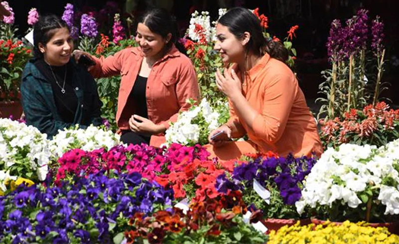 Blooming Beauty: Punjab Agricultural University unveils state’s first Tulip Garden