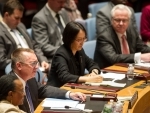 Ukraine: UN urges efforts to achieve stability, peace
