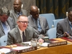 Sanctions are 'effective' method to build global stability, Security Council told