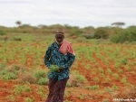 UN concerned over food security situation in Somalia