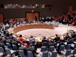 UNSC urges measures to keep chemical weapons away from terrorists