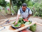 Samoa: From weeds to electricity, UN partnership aims to connect families to electric grid