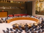 Security Council condemns actions of Houthi militants to derail Yemenâ€™s transition