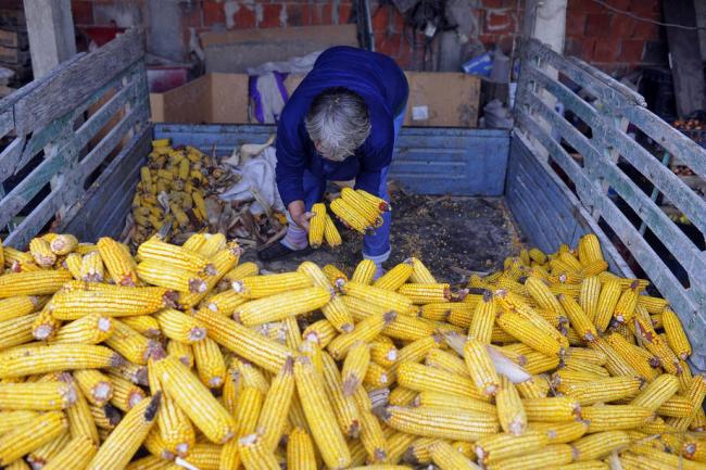 Food prices fall in November amid 'robust' global inventories: UN agency