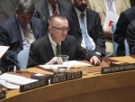 Security Council hears briefing on Turkish troop deployment in northern Iraq