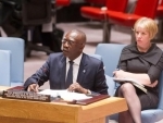 Security Council: UN official says Central Africa's transition at critical stage