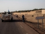 Security Council demands immediate end to hostilities in Mali