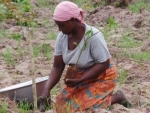 Women farmers pillar of food security: UN 