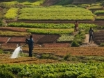 UN official stresses link between healthy soils, sustainable development 
