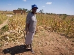 El NiÃ±o: UN emergency fund supports millions in affected countries