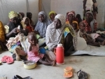 Gruelling lean season ahead for areas of Sahel: UN agency
