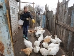 Farm families in eastern Ukraine forced into 'difficult choices' to survive: UN agency