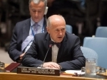 Bosnia and Herzegovina must take 'fresh chance' it has been given: Security Council