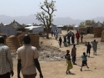 Cameroon host to families fleeing Nigeria, Lake Chad basin: UN relief official