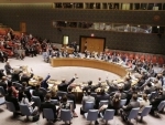Security Council adopts resolution endorsing Iran nuclear deal