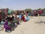 Security Council condemns Boko Haram violence, backs regional efforts
