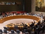 Security Council renews Yemen sanctions panel 