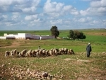 Morocco's agriculture-focused 'Green Plan' must benefit all: UN rights expert