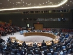 Security Council: Heads of UN bodies highlight reinforcing areas of concern