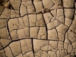 Ethiopia experiencing worst drought in 30 years due to El NiÃ±o conditions: UN report