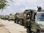 Security Council extends UN mission in Somalia until August