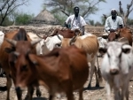 Deadly tribal clashes in South Darfur draw concern of UN-African Union mission