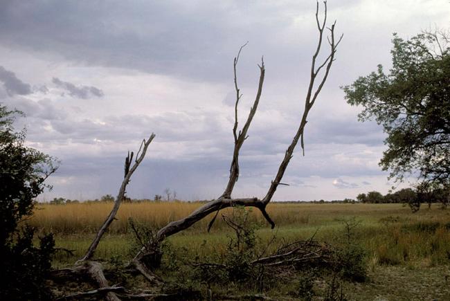 Drought in Botswana is learning opportunity to achieve water security: UN rights expert