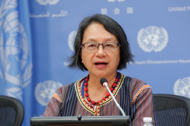 Land, resource rights key to Sami people's self-determination: UN expert