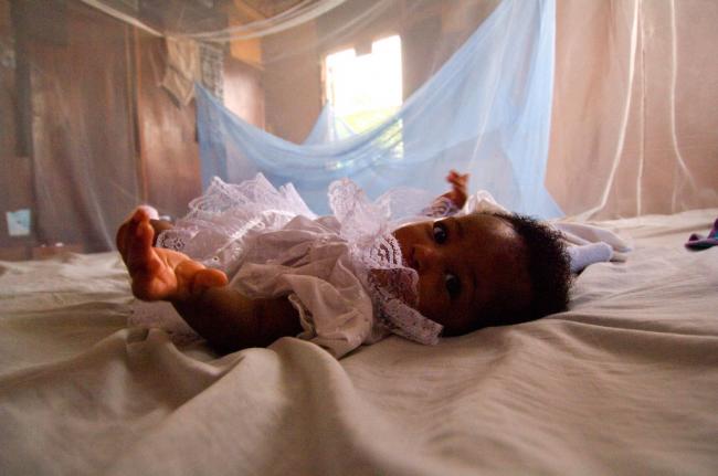 New report signals progress towards malaria elimination: WHO