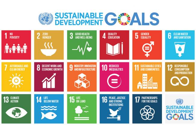 Sustainable Development Goals to kick in with start of new year