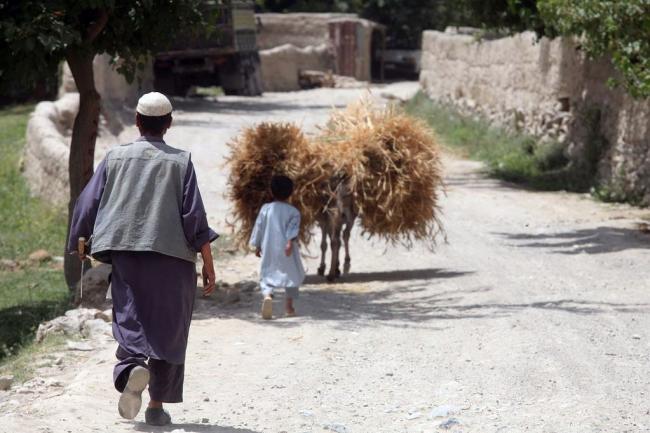 UN and partners report 'extremely alarming' food insecurity figures in Afghanistan