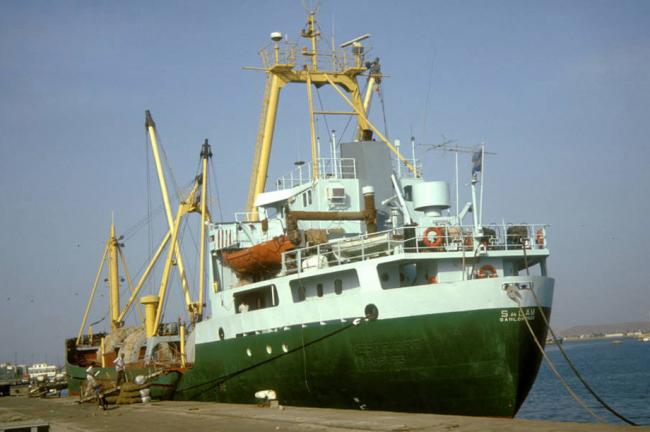 Momentum building for UN-backed accord to combat rogue fishing business