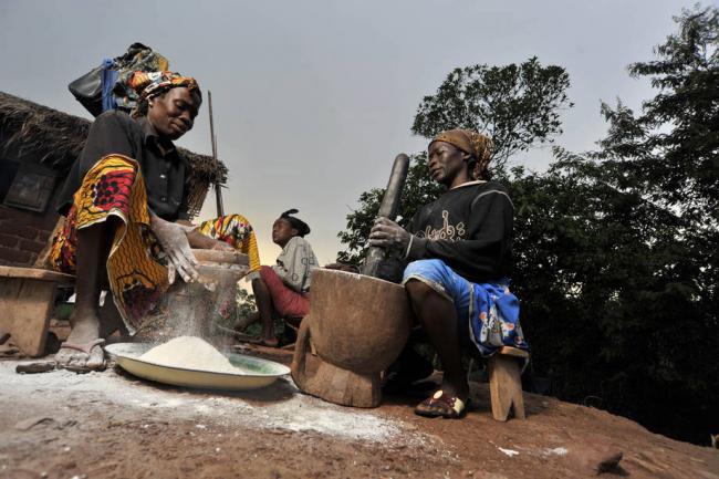 Central Africa in urgent need of agricultural assistance: FAO