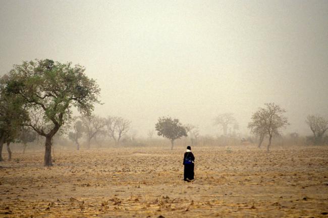 Climate-smart development can keep 100 million people out of poverty: World Bank
