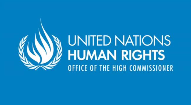 UN human rights experts welcome release of Egyptian journalist and rights defender