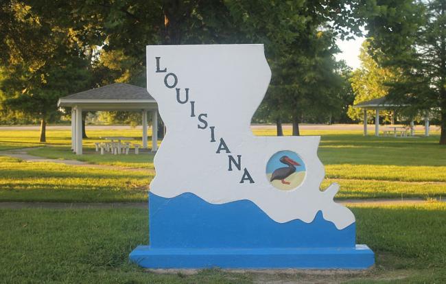 Louisiana shooting: Gunman kills 2