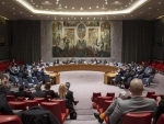 UN Security Council strongly condemns terrorist attack in Egyptian capital, Cairo