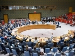 Security Council adopts resolution on countering terrorist threats to civil aviation