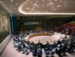 Security Council urges all parties in Lebanon to 'put national interest ahead of partisan politics'