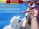 Marineland in Niagara Falls accused of animal cruelty, counters charges