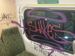 Three youth charged for illegal graffiti in Toronto Go Train